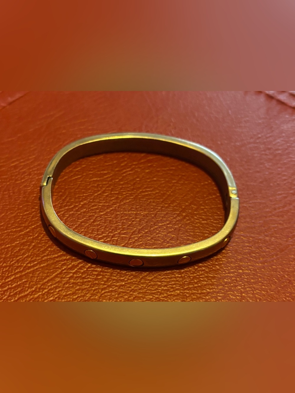 ✨Vintage Silver Hinged Bangle Bracelet with Gold Screw-Head Accents